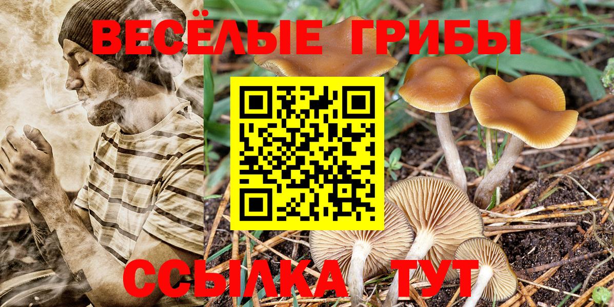 Псилоцибиновые грибы Magic Shrooms  Вход с VPN  Менделеевск 